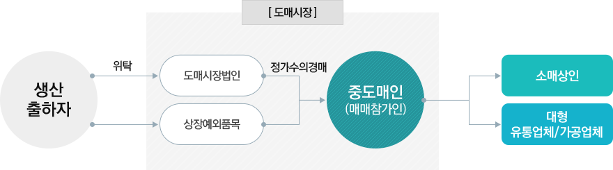 생산출하자가 도매시장의 도매시장법인에게 위탁 후 중도매인(매매참가인)에게 정기수의경매 → 소매상인, 대형유통업체/가공업체로 전달, 생산출하자는 상장예외품목을 도매시장의 중도매인(매매참가인)에게 정기수의경매 → 소매상인, 대형유통업체/가공업체로 전달