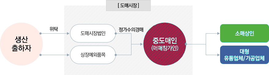 생산출하자가 도매시장의 도매시장법인에게 위탁 후 중도매인(매매참가인)에게 정기수의경매 → 소매상인, 대형유통업체/가공업체로 전달, 생산출하자는 상장예외품목을 도매시장의 중도매인(매매참가인)에게 정기수의경매 → 소매상인, 대형유통업체/가공업체로 전달