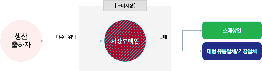 생산출하자가 도매시장의 시장도매인에게 매수·위탁, 시장도매인이 소매상인과 대형유통업체 가공업체에게 판매