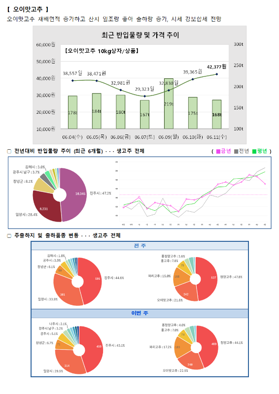 품목별 동향 - 오이고추.
오이고추는 재배면적 증가하고 산지 일조량 좋아 출하량 증가, 시세 강보합세 전망입니다.
최근 반입물량 및 가격 추이 그래프 (오이고추 10kg 상자/상품):
6월 4일(수) 38,557원 (178톤), 6월 5일(목) 38,471원 (184톤), 6월 6일(금) 32,981원 (180톤), 6월 7일(토) 29,323원 (167톤), 6월 9일(월) 32,830원 (219톤), 6월 10일(화) 39,365원 (175톤), 6월 11일(수) 42,377원 (168톤).
전년 대비 반입물량 추이 (최근 6개월) 도넛 차트 및 꺾은선 그래프:
김제시 3.0%, 광주시 남구 3.7%, 창녕군 8.1%, 밀양시 28.4%, 진주시 47.2%.
주출하지 및 출하품종 변동 도넛 차트:
전주 (총 637톤): 김제시 1.8%, 광주시 3.8%, 창녕군 6.1%, 밀양시 33.9%, 진주시 44.6%. 충청북도 고추 3.6%, 오이고추 21.6%, 팔광고추 15.8%, 청양고추 47.8%.
이번 주 (총 460톤): 나주시 2.1%, 광주시 남구 2.2%, 광주시 6.1%, 창녕군 6.7%, 밀양시 29.5%, 진주시 43.1%. 충청북도 고추 4.0%, 오이고추 22.5%, 팔광고추 17.2%, 청양고추 44.1%.