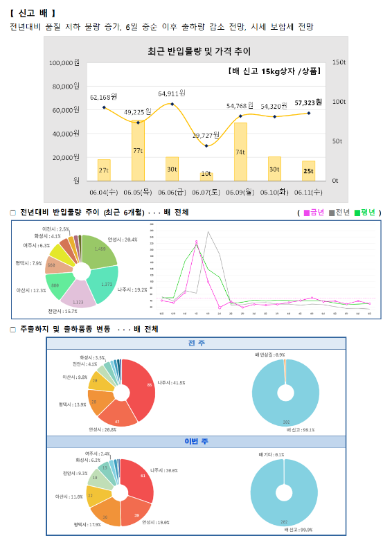 품목별 동향 - 신고 배.
전년대비 품질 저하 물량 증가, 6월 중순 이후 출하량 감소 전망, 시세 보합세 전망.
최근 반입물량 및 가격 추이 그래프 (배 신고 15kg 상자/상품):
6월 4일(수) 62,168원 (27톤), 6월 5일(목) 49,225원 (77톤), 6월 6일(금) 64,911원 (30톤), 6월 7일(토) 20,727원 (10톤), 6월 9일(월) 54,768원 (74톤), 6월 10일(화) 54,320원 (30톤), 6월 11일(수) 57,323원 (25톤).
전년 대비 반입물량 추이 (최근 6개월) 도넛 차트 및 꺾은선 그래프:
이천시 2.5%, 화성시 4.1%, 여주시 6.3%, 평택시 7.9%, 아산시 12.3%, 천안시 15.7%, 안성시 20.4%, 나주시 19.2%.
주출하지 및 출하품종 변동 도넛 차트:
전주 (총 292톤): 화성시 3.6%, 천안시 4.1%, 아산시 9.8%, 평택시 13.9%, 안성시 20.8%, 나주시 41.5%. 배 백설향 0.9%, 배 신고 99.1%.
이번 주 (총 286톤): 여주시 2.4%, 화성시 3.2%, 천안시 6.3%, 평택시 11.9%, 아산시 11.0%, 안성시 19.0%, 나주시 39.8%. 배 기타 0.1%, 배 신고 99.9%.