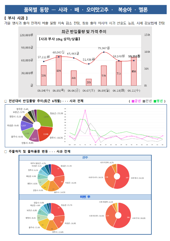 품목별 동향 - 사과, 배, 오이고추, 복숭아, 멜론.
[사과 부사] 가을 햇사과 출하 전까지 비축 물량 지속 감소 전망, 청송 출하 미시마 사과 선호도 높음, 시세 강보합세 전망.
최근 반입물량 및 가격 추이 그래프 (사과 부사 10kg 상자/상품):
6월 4일(수) 57,111원 (59톤), 6월 5일(목) 68,042원 (89톤), 6월 6일(금) 65,463원 (44톤), 6월 7일(토) 51,436원 (20톤), 6월 9일(월) 79,367원 (59톤), 6월 10일(화) 59,148원 (71톤), 6월 11일(수) 59,255원 (85톤).
전년 대비 반입물량 추이 (최근 6개월) 도넛 차트 및 꺾은선 그래프:
양구군 3.4%, 보은군 3.7%, 영천시 5.1%, 의성군 9.4%, 충주시 9.5%, 안동시 9.8%, 영주시 18.3%, 청송군 23.5%.
주출하지 및 출하품종 변동 도넛 차트:
전주 (총 382톤): 대구시 달성군 4.7%, 영주시 6.2%, 예산군 6.9%, 영천시 8.5%, 안동시 9.5%, 충주시 14.3%, 의성군 16.4%, 청송군 21.3%. 사과 미시마 38.2%, 사과 부사 54.5%.
이번 주 (총 381톤): 안동시 3.9%, 예산군 4.8%, 보은군 6.3%, 영천시 8.1%, 충주시 12.4%, 영주시 13.8%, 청송군 21.7%, 의성군 16.9%. 사과 미시마 34.9%, 사과 부사 56.8%.