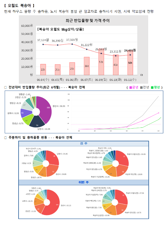 품목별 동향 - 오월드 복숭아.
현재 하우스 물량 주로 출하 중, 노지 복숭아 봉지 끈 일교차로 출하시기 지연, 시세 약보합세 전망.
최근 반입물량 및 가격 추이 그래프 (복숭아 오월드 5kg 상자/상품):
6월 4일(수) 37,124원 (22톤), 6월 5일(목) 36,390원 (21톤), 6월 6일(금) 37,503원 (25톤), 6월 7일(토) 31,222원 (36톤), 6월 9일(월) 26,163원 (53톤), 6월 10일(화) 23,311원 (41톤), 6월 11일(수) 24,435원 (50톤).
전년 대비 반입물량 추이 (최근 6개월) 도넛 차트 및 꺾은선 그래프:
영광군 2.4%, 고향군 4.0%, 영암군 8.1%, 김제시 9.5%, 창녕군 9.7%, 남원시 16.5%, 경산시 36.5%.
주출하지 및 출하품종 변동 도넛 차트:
전주 (총 197톤): 부안군 강서면 2.4%, 영동군 3.0%, 김제시 7.9%, 고향군 8.2%, 영암군 9.5%, 경상군 10.7%, 남원시 25.4%, 경산시 20.8%. 복숭아 금강산(백) 3.2%, 복숭아 다경연(황) 3.6%, 복숭아 천도(적) 9.4%, 복숭아 단월도(황) 6.3%, 복숭아 월도(황) 6.7%, 복숭아 백도(백) 18.6%, 복숭아 오월드(적) 26.6%, 복숭아 가남연(적) 15.4%.
이번 주 (총 201톤): 영동군 2.6%, 영암군 3.0%, 고향군 5.3%, 남원시 10.2%, 창녕군 12.7%, 경산시 53.1%. 복숭아 대극천(적) 3.6%, 복숭아 가남연(적) 7.8%, 복숭아 백도(백) 7.2%, 복숭아 월도(황) 7.5%, 복숭아 오월드(적) 27.3%, 복숭아 천도(적) 18.7%, 복숭아 신선(황) 16.5%.
