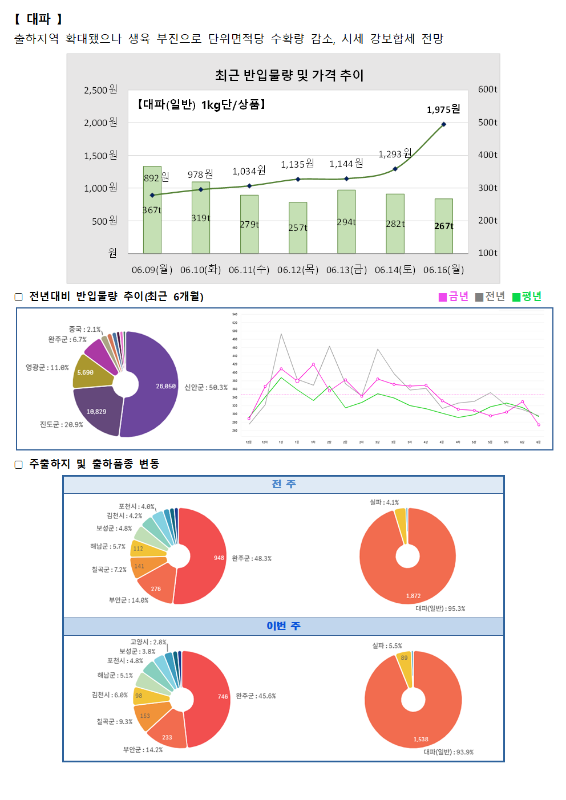 품목별 동향 - 대파.
대파는 출하 지역 확대됐으나 생육 부진으로 단위 면적당 수확량 감소, 시세 강보합세 전망.
최근 반입물량 및 가격 추이 그래프 (대파(일반) 1kg/상품):
6월 9일(월) 892원 (367톤), 6월 10일(화) 978원 (319톤), 6월 11일(수) 1,034원 (279톤), 6월 12일(목) 1,135원 (257톤), 6월 13일(금) 1,144원 (294톤), 6월 14일(토) 1,293원 (282톤), 6월 16일(월) 1,975원 (267톤).
전년 대비 반입물량 추이 (최근 6개월) 도넛 차트 및 꺾은선 그래프:
중국 2.1%, 원주시 6.7%, 영평군 11.0%, 진도군 20.9%, 신안군 50.3%.
주출하지 및 출하품종 변동 도넛 차트:
전주 (총 1,872톤): 보성군 4.0%, 김천시 4.2%, 보성군 4.8%, 해남군 5.7%, 진도군 7.2%, 부안군 14.8%, 완주군 49.3%. 심파 4.1%, 대파(일반) 95.3%.
이번 주 (총 1,538톤): 고령시 2.8%, 보성군 3.8%, 보성군 4.8%, 해남군 5.1%, 김천시 6.0%, 진도군 9.3%, 부안군 14.2%, 완주군 45.6%. 심파 5.5%, 대파(일반) 93.9%.