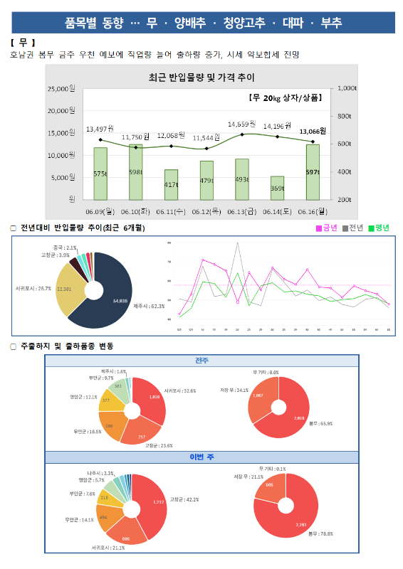 품목별 동향 - 무, 양배추, 청양고추, 대파, 부추.
[무] 호남권 봄무 금주 우천 예보에 작업량 늘어 출하량 증가, 시세 약보합세 전망.
최근 반입물량 및 가격 추이 그래프 (무 20kg 상자/상품):
6월 9일(월) 13,497원 (575톤), 6월 10일(화) 11,750원 (598톤), 6월 11일(수) 12,068원 (417톤), 6월 12일(목) 11,544원 (479톤), 6월 13일(금) 14,659원 (493톤), 6월 14일(토) 14,196원 (369톤), 6월 16일(월) 13,066원 (597톤).
전년 대비 반입물량 추이 (최근 6개월) 도넛 차트 및 꺾은선 그래프:
중국 2.1%, 고창군 3.9%, 서귀포시 25.7%, 제주 62.3%.
주출하지 및 출하품종 변동 도넛 차트:
전주 (총 2,869톤): 제주 1.6%, 부안군 3.3%, 영양군 12.1%, 부안군 18.5%, 고창군 23.6%, 서귀포시 32.6%, 저장 무 34.1%. 봄무 65.9%.
이번 주 (총 2,282톤): 나주시 3.3%, 영양군 5.7%, 부안군 7.6%, 무안군 14.1%, 서귀포시 21.1%, 고창군 42.2%, 저장 무 21.1%. 봄무 78.8%.