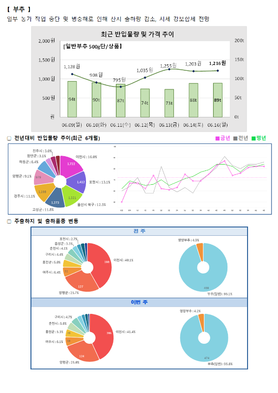 품목별 동향 - 부추.
부추는 일부 농가 작업 중단 및 병해충으로 인해 산지 출하량 감소, 시세 강보합세 전망.
최근 반입물량 및 가격 추이 그래프 (일반 부추 500g단/상품):
6월 9일(월) 1,128원 (94톤), 6월 10일(화) 908원 (90톤), 6월 11일(수) 795원 (87톤), 6월 12일(목) 1,035원 (74톤), 6월 13일(금) 1,255원 (73톤), 6월 14일(토) 1,203원 (88톤), 6월 16일(월) 1,216원 (89톤).
전년 대비 반입물량 추이 (최근 6개월) 도넛 차트 및 꺾은선 그래프:
진주시 3.0%, 함안군 3.1%, 하동군 6.4%, 양평군 9.1%, 경주시 11.8%, 고성군 12.3%, 이천시 16.0%, 포항시 13.1%, 울산시 북구 12.3%.
주출하지 및 출하품종 변동 도넛 차트:
전주 (총 468톤): 포천시 2.7%, 음성군 3.3%, 진천시 4.1%, 구리시 4.4%, 홍천군 5.0%, 여주시 6.4%, 양평군 25.7%, 이천시 49.1%. 영양부추 4.9%, 부추(일반) 95.1%.
이번 주 (총 474톤): 구리시 4.7%, 진천시 5.0%, 홍천군 5.3%, 여주시 6.1%, 양평군 25.8%, 이천시 41.4%. 영양부추 4.2%, 부추(일반) 95.8%.