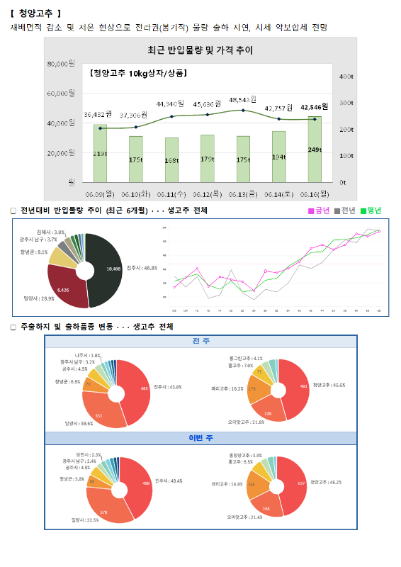 품목별 동향 - 청양고추.
청양고추는 재배면적 감소 및 저온 현상으로 전라권(본기작) 물량 출하 지연, 시세 약보합세 전망.
최근 반입물량 및 가격 추이 그래프 (청양고추 10kg 상자/상품):
6월 9일(월) 36,432원 (219톤), 6월 10일(화) 37,306원 (175톤), 6월 11일(수) 44,840원 (168톤), 6월 12일(목) 45,636원 (179톤), 6월 13일(금) 48,543원 (175톤), 6월 14일(토) 42,757원 (194톤), 6월 16일(월) 42,546원 (249톤).
전년 대비 반입물량 추이 (최근 6개월) 도넛 차트 및 꺾은선 그래프:
김제시 3.0%, 광주시 남구 3.7%, 창녕군 8.1%, 밀양시 28.9%, 진주시 46.8%.
주출하지 및 출하품종 변동 도넛 차트:
전주 (총 493톤): 나주시 1.6%, 광주시 3.2%, 광주시 4.9%, 창녕군 6.9%, 밀양시 30.6%, 진주시 43.8%. 흥성고추 4.1%, 통고추 7.8%, 꽈리고추 16.2%, 오이고추 21.8%, 청양고추 45.6%.
이번 주 (총 537톤): 당진시 2.3%, 광주시 남구 2.7%, 광주시 4.8%, 창녕군 5.8%, 밀양시 32.5%, 진주시 49.4%. 충청북도 고추 3.9%, 통고추 16.5%, 꽈리고추 15.8%, 오이고추 21.4%, 청양고추 46.2%.