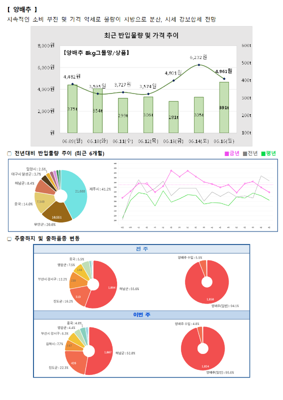 품목별 동향 - 양배추.
양배추는 지속적인 소비 부진 및 가격 약세로 물량이 지방으로 분산, 시세 강보합세 전망.
최근 반입물량 및 가격 추이 그래프 (양배추 8kg 그물망/상품):
6월 9일(월) 4,482원 (375톤), 6월 10일(화) 3,595원 (354톤), 6월 11일(수) 3,727원 (299톤), 6월 12일(목) 3,574원 (306톤), 6월 13일(금) 4,801원 (281톤), 6월 14일(토) 6,232원 (205톤), 6월 16일(월) 4,961원 (391톤).
전년 대비 반입물량 추이 (최근 6개월) 도넛 차트 및 꺾은선 그래프:
함양시 2.5%, 대구시 달성군 3.7%, 해남군 8.4%, 중국 14.0%, 무안군 20.8%, 제주 41.2%.
주출하지 및 출하품종 변동 도넛 차트:
전주 (총 1,868톤): 중국 5.5%, 영암군 7.5%, 부산시 강서구 12.2%, 진도군 16.2%, 해남군 55.6%. 양배추 수입 5.5%, 양배추(일반) 94.1%.
이번 주 (총 1,824톤): 중국 4.8%, 영암군 4.4%, 부산시 강서구 6.3%, 김해시 7.7%, 진도군 22.3%, 해남군 52.8%. 양배추 수입 4.0%, 양배추(일반) 95.6%.