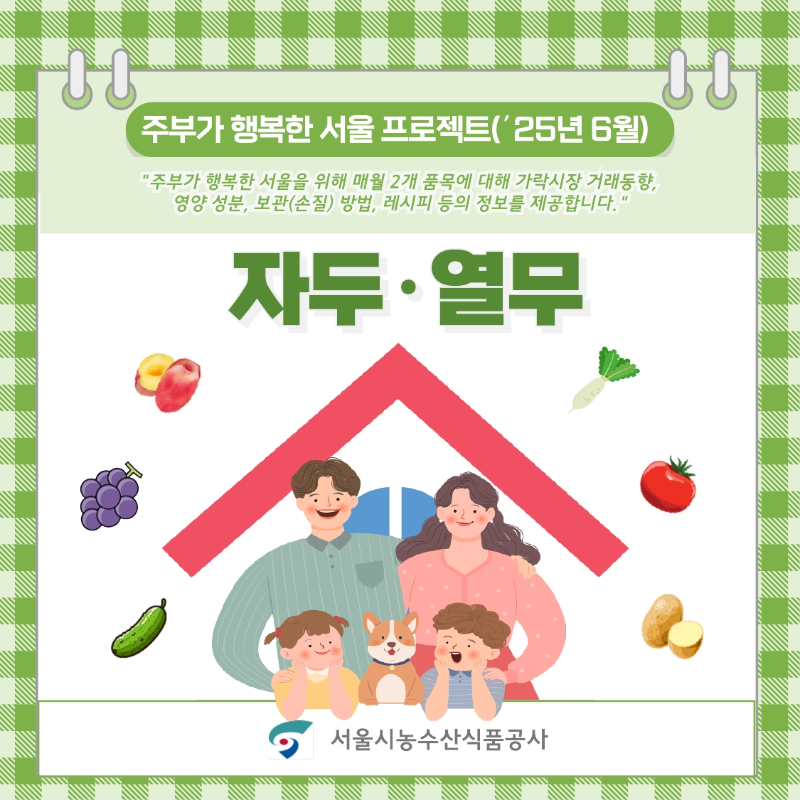'주부가 행복한 서울 프로젝트 ('25년 6월)'이라는 제목의 포스터입니다.
'주부가 행복한 서울을 위해 매월 2개 품목에 대해 가락시장 거래 동향, 영양 성분, 보관(손질) 방법, 레시피 등의 정보를 제공합니다.'라는 설명 아래에 '자두 · 열무'라고 크게 적혀 있습니다.
그림으로는 웃는 표정의 아빠, 엄마, 아들, 딸 가족과 강아지가 집 모양 테두리 안에 그려져 있으며, 주변에는 자두, 포도, 오이, 무, 토마토, 감자 등 다양한 농산물 일러스트가 배치되어 있습니다.
하단에는 '서울시농수산식품공사' 로고가 있습니다. 배경은 연두색 체크무늬입니다.