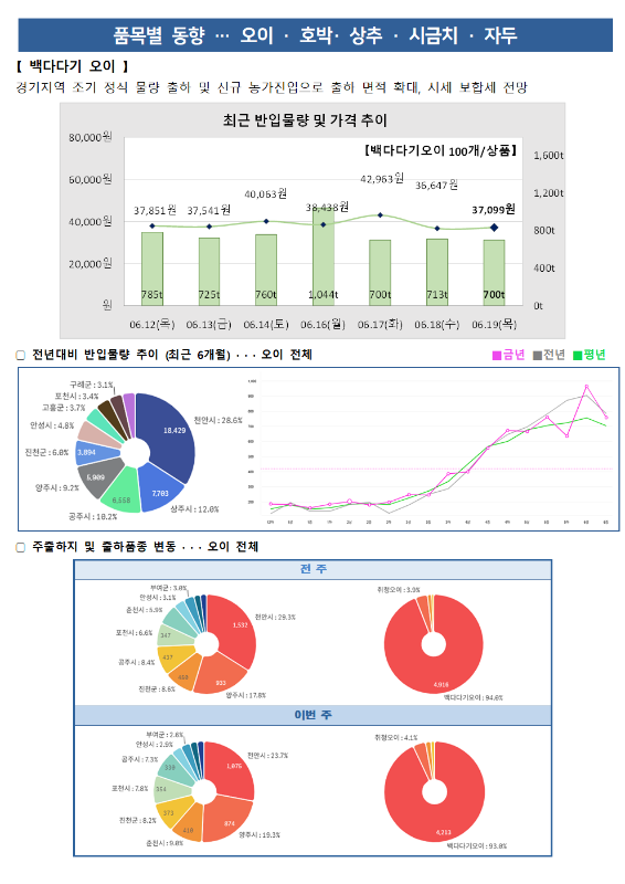 품목별 동향 - 오이, 호박, 상추, 시금치, 자두.
[백다다기 오이] 경기 지역 조기 정식 물량 출하 및 신규 농가 진입으로 출하 면적 확대, 시세 보합세 전망.
최근 반입물량 및 가격 추이 그래프 (백다다기 오이 100개/상품):
6월 12일(목) 37,851원 (785톤), 6월 13일(금) 37,541원 (725톤), 6월 14일(토) 40,063원 (760톤), 6월 16일(월) 38,438원 (1,044톤), 6월 17일(화) 42,963원 (700톤), 6월 18일(수) 36,647원 (713톤), 6월 19일(목) 37,099원 (700톤).
전년 대비 반입물량 추이 (최근 6개월) 도넛 차트 및 꺾은선 그래프:
광주시 10.2%, 양주시 9.2%, 진주시 6.0%, 포천시 3.4%, 안성시 4.8%, 천안시 28.6%, 상주시 12.0%, 구례군 3.1%.
주출하지 및 출하품종 변동 도넛 차트:
전주 (총 4,910톤): 백예군 3.0%, 안성시 3.1%, 홍천시 5.0%, 포천시 6.6%, 광주시 8.4%, 진천군 8.6%, 양주시 17.8%, 천안시 29.3%. 취청 오이 3.9%, 백다다기 오이 94.8%.
이번 주 (총 4,713톤): 부여군 2.6%, 안성시 2.9%, 광주시 7.3%, 포천시 7.8%, 진천군 8.2%, 천안시 23.7%, 양주시 19.3%, 홍천시 3.4%. 취청 오이 4.1%, 백다다기 오이 93.8%.