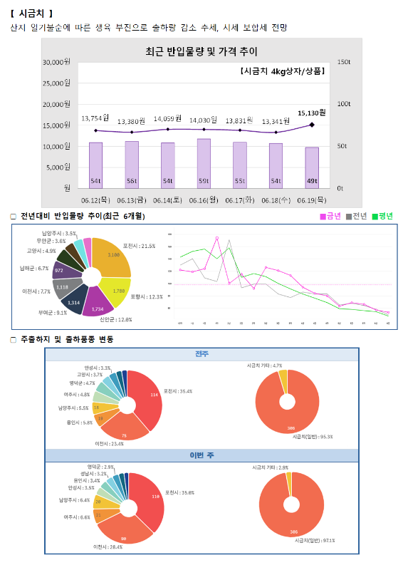 품목별 동향 - 시금치.
시금치는 산지 일기 불순에 따른 생육 부진으로 출하량 감소 추세, 시세 보합세 전망.
최근 반입물량 및 가격 추이 그래프 (시금치 4kg 상자/상품):
6월 12일(목) 13,754원 (54톤), 6월 13일(금) 13,380원 (56톤), 6월 14일(토) 14,059원 (54톤), 6월 16일(월) 14,030원 (59톤), 6월 17일(화) 13,831원 (55톤), 6월 18일(수) 13,341원 (54톤), 6월 19일(목) 15,130원 (49톤).
전년 대비 반입물량 추이 (최근 6개월) 도넛 차트 및 꺾은선 그래프:
남양주시 3.5%, 무안군 3.6%, 고령시 4.9%, 남해군 6.7%, 이천시 7.7%, 부여군 9.1%, 신안군 12.0%, 진안군 12.0%, 포항시 12.3%, 보성군 21.5%.
주출하지 및 출하품종 변동 도넛 차트:
전주 (총 386톤): 당진시 3.3%, 고령시 3.7%, 영덕군 4.7%, 여주시 4.8%, 남양주시 5.5%, 용인시 5.8%, 이천시 23.4%, 포천시 35.4%. 시금치 기타 4.7%, 시금치(일반) 95.3%.
이번 주 (총 386톤): 영덕군 2.9%, 성남시 3.2%, 용인시 3.5%, 안성시 3.4%, 고령시 6.4%, 여주시 6.6%, 이천시 28.4%, 포천시 35.0%. 시금치 기타 2.9%, 시금치(일반) 97.1%.