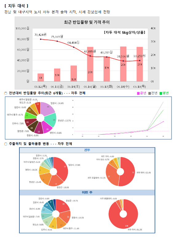 품목별 동향 - 자두 대석.
자두 대석은 경남 및 대구 지역 노지 자두 본격 출하 시작, 시세 강보합세 전망.
최근 반입물량 및 가격 추이 그래프 (자두 대석 5kg 상자/상품):
6월 12일(목) 79,424원 (6톤), 6월 13일(금) 75,665원 (10톤), 6월 14일(토) 64,414원 (12톤), 6월 16일(월) 47,885원 (26톤), 6월 17일(화) 46,019원 (19톤), 6월 18일(수) 38,506원 (26톤), 6월 19일(목) 39,250원 (26톤).
전년 대비 반입물량 추이 (최근 6개월) 도넛 차트 및 꺾은선 그래프:
대구시 달성군 5.1%, 영천시 6.6%, 김천시 7.5%, 진주시 7.6%, 함안군 7.6%, 창원시 8.8%, 밀양시 16.8%, 영천시 9.6%, 성주군 13.7%, 창녕군 13.7%.
주출하지 및 출하품종 변동 도넛 차트:
전주 (총 21톤): 김천시 3.3%, 창원시 3.7%, 대구시 달성군 6.1%, 영천시 10.2%, 창녕군 15.4%, 함안군 18.6%, 밀양시 37.0%. 자두 기타 4.6%, 자두 저장 4.7%, 자두 로얄대석 32.2%, 자두 대석 52.4%.
이번 주 (총 136톤): 김천시 6.0%, 밀양시 6.4%, 영천시 6.9%, 대구시 달성군 7.4%, 창녕군 19.7%, 진주시 9.1%, 영천시 14.5%, 대구시 동구 11.4%, 창녕군 19.7%. 자두 로얄대석 4.6%, 자두 대석 91.3%.