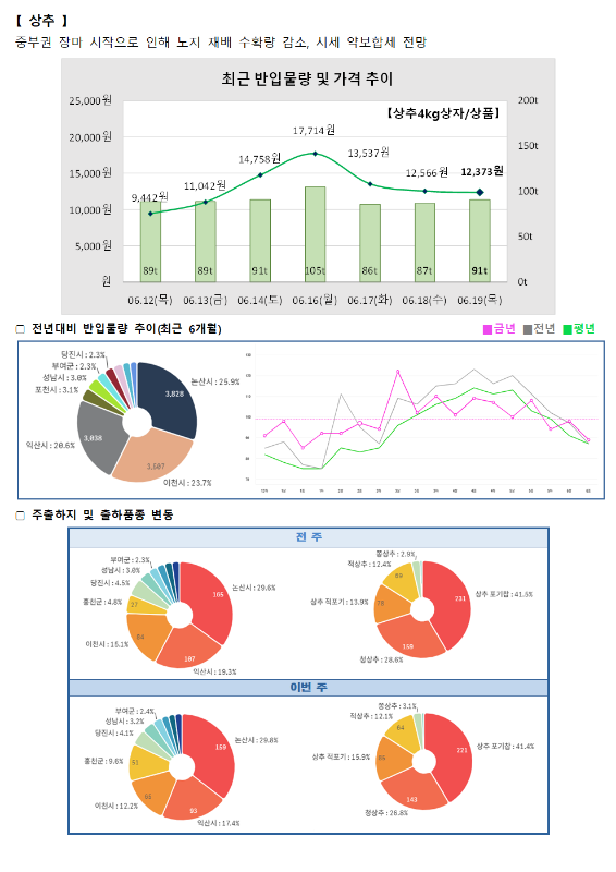 품목별 동향 - 상추.
상추는 중부권 장마 시작으로 인해 노지 재배 수확량 감소, 시세 약보합세 전망.
최근 반입물량 및 가격 추이 그래프 (상추 4kg 상자/상품):
6월 12일(목) 9,442원 (89톤), 6월 13일(금) 11,042원 (89톤), 6월 14일(토) 14,758원 (91톤), 6월 16일(월) 17,714원 (105톤), 6월 17일(화) 13,537원 (86톤), 6월 18일(수) 12,566원 (87톤), 6월 19일(목) 12,373원 (91톤).
전년 대비 반입물량 추이 (최근 6개월) 도넛 차트 및 꺾은선 그래프:
당진시 2.3%, 성남시 3.0%, 포천시 3.1%, 익산시 20.6%, 이천시 23.7%, 논산시 25.9%.
주출하지 및 출하품종 변동 도넛 차트:
전주 (총 231톤): 부여군 2.3%, 성남시 3.8%, 당진시 3.8%, 홍천군 4.8%, 이천시 15.1%, 논산시 29.6%, 익산시 19.3%. 홍상추 2.9%, 적상추 12.4%, 상추 적포기 13.9%, 상추 포기합 41.5%, 청상추 28.6%.
이번 주 (총 221톤): 부여군 2.4%, 성남시 3.2%, 당진시 3.8%, 홍천군 9.6%, 이천시 12.2%, 논산시 29.8%, 익산시 17.4%. 홍상추 3.1%, 적상추 12.1%, 상추 적포기 15.9%, 상추 포기합 41.4%, 청상추 26.8%.