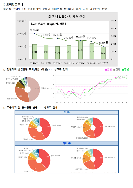 그래프: 오이맛고추 10kg 상품의 최근 반입 물량 및 가격 추이, 전년대비 반입물량 추이 (최근 6개월), 출하주 및 출하품종 변동