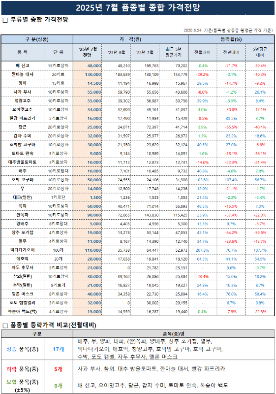 이 이미지는 2025년 7월 품종별 종합 가격 전망표를 보여주며, 상세 품목별 가격과 전년 대비 및 5년 평균 대비 등락률 정보를 포함합니다. 상승 품목은 17개, 하락 품목은 5개, 보합 품목은 6개입니다.