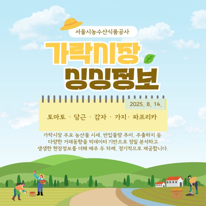 가락시장 싱싱정보 2025. 8. 14. 표지 이미지. 서울시농수산식품공사에서 제공하는 주요 농산물(토마토, 당근, 감자, 가지, 파프리카) 시세, 반입물량, 거래동향 및 현장 정보를 주 2회 제공함을 알리는 홍보물
