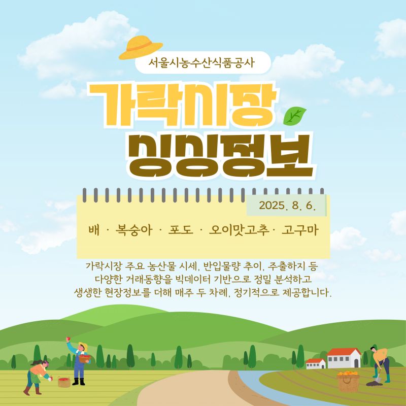 가락시장 싱싱정보 2025. 8. 6. 표지 이미지. 서울시농수산식품공사에서 제공하는 주요 농산물(배, 복숭아, 포도, 오이맛고추, 고구마) 시세, 반입물량, 거래동향 및 현장 정보를 주 2회 제공함을 알리는 홍보물