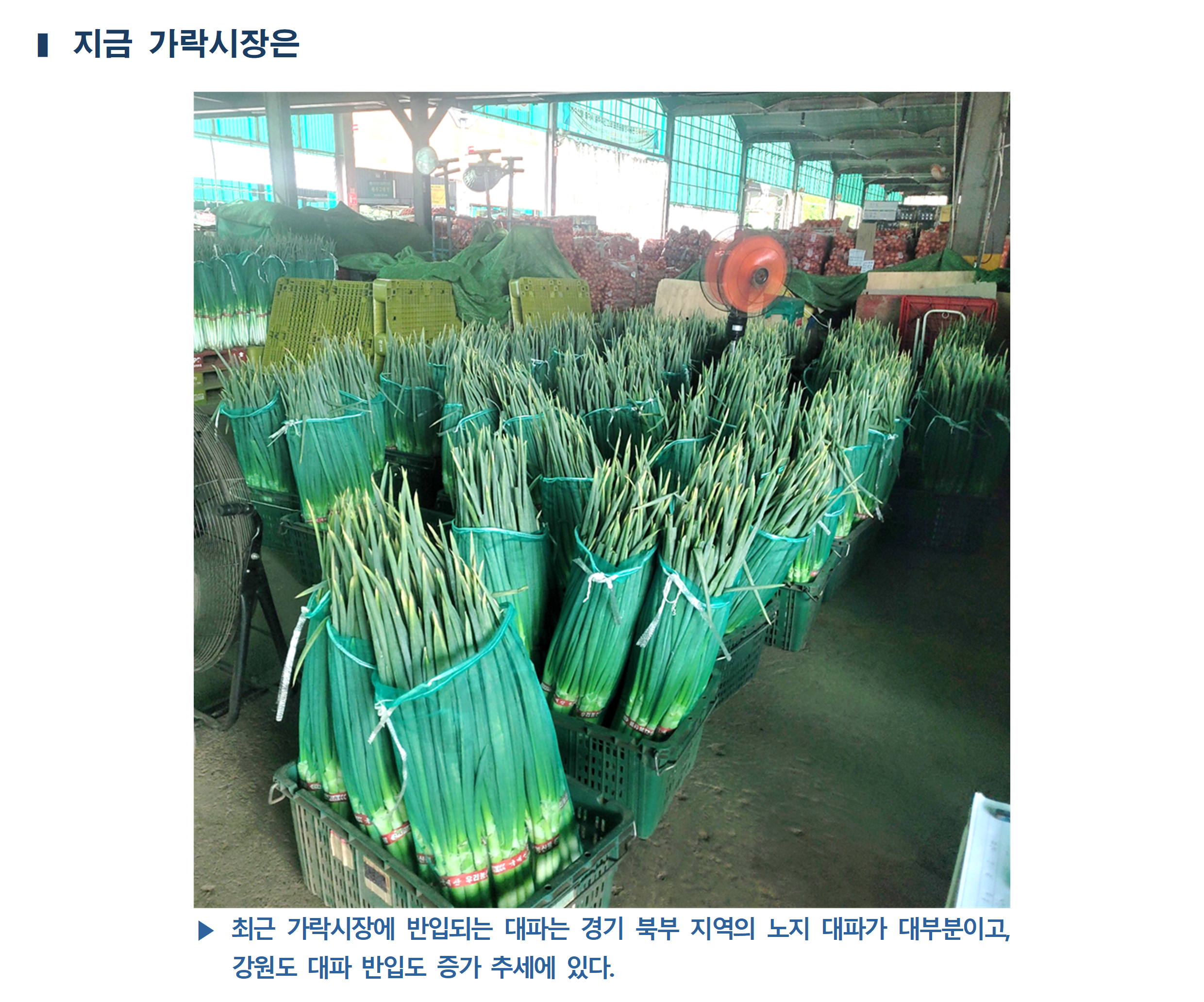 image005.png