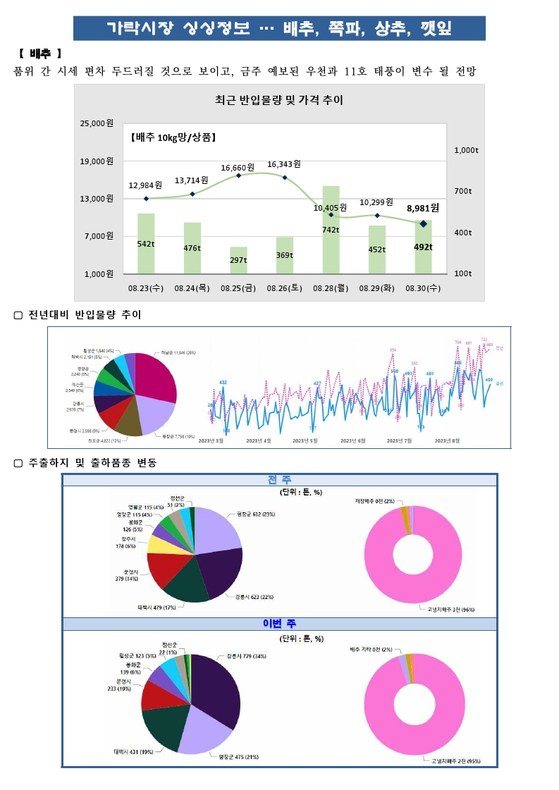 가락시장 싱싱정보(8.31 배추, 쪽파, 상추, 깻잎).pdf_page_1.png