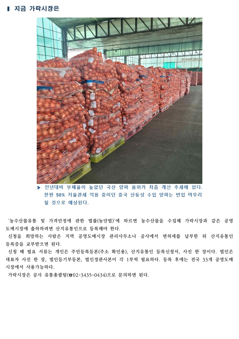 가락시장 싱싱정보(9.4 무, 양파, 대파, 양배추).pdf_page_5.png