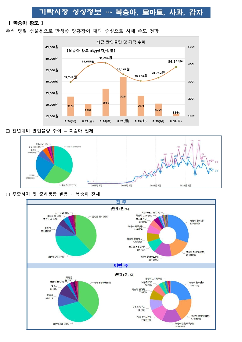 가락시장 싱싱정보(9.1 복숭아, 토마토, 사과, 감자).pdf_page_1.png