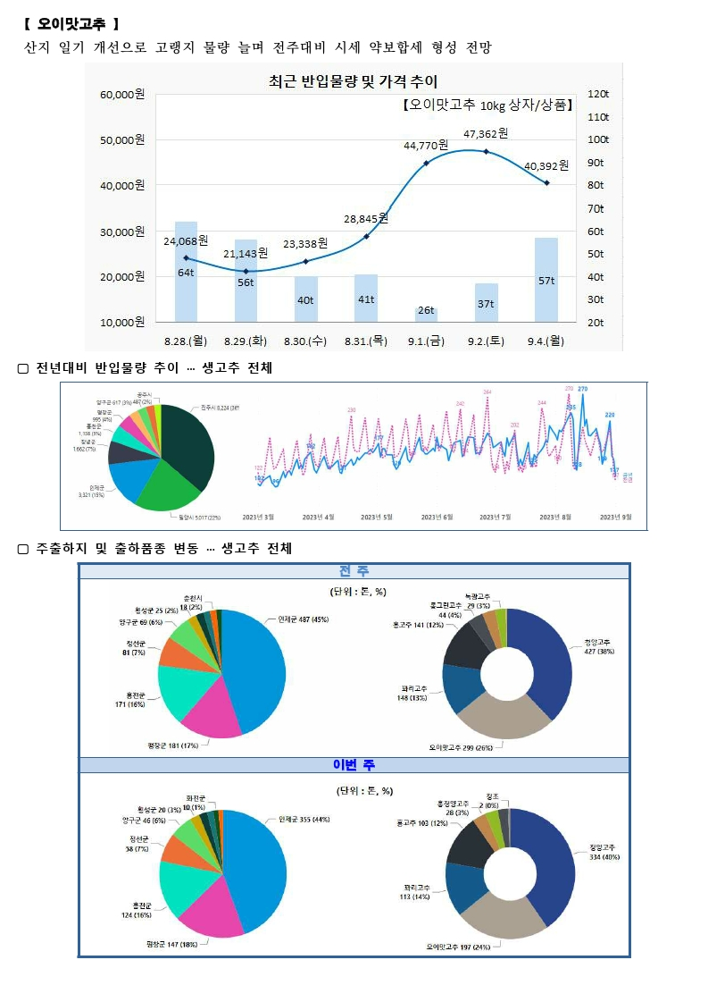 가락시장 싱싱정보(9.5. 배추, 무, 양배추, 오이맛고추).pdf_page_4.png