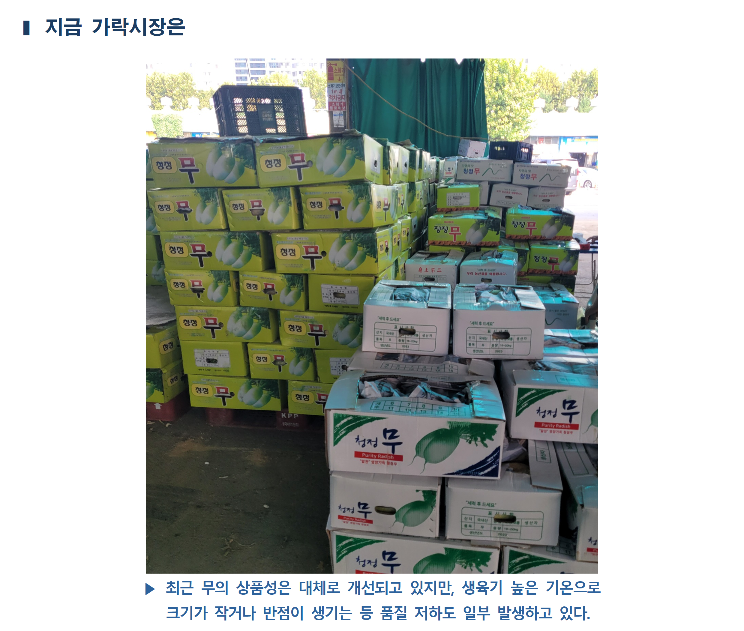 image005.png