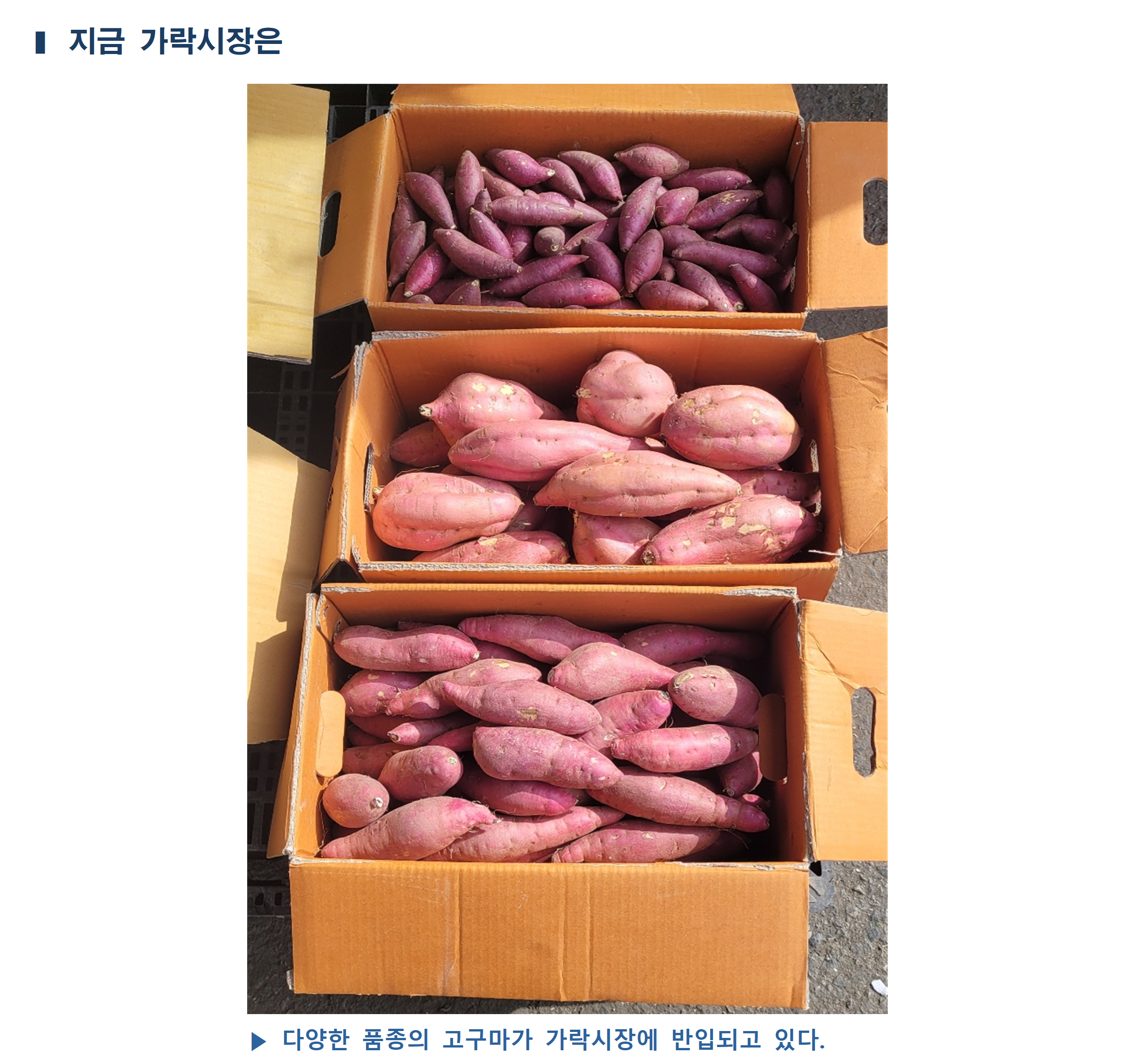 image005.png