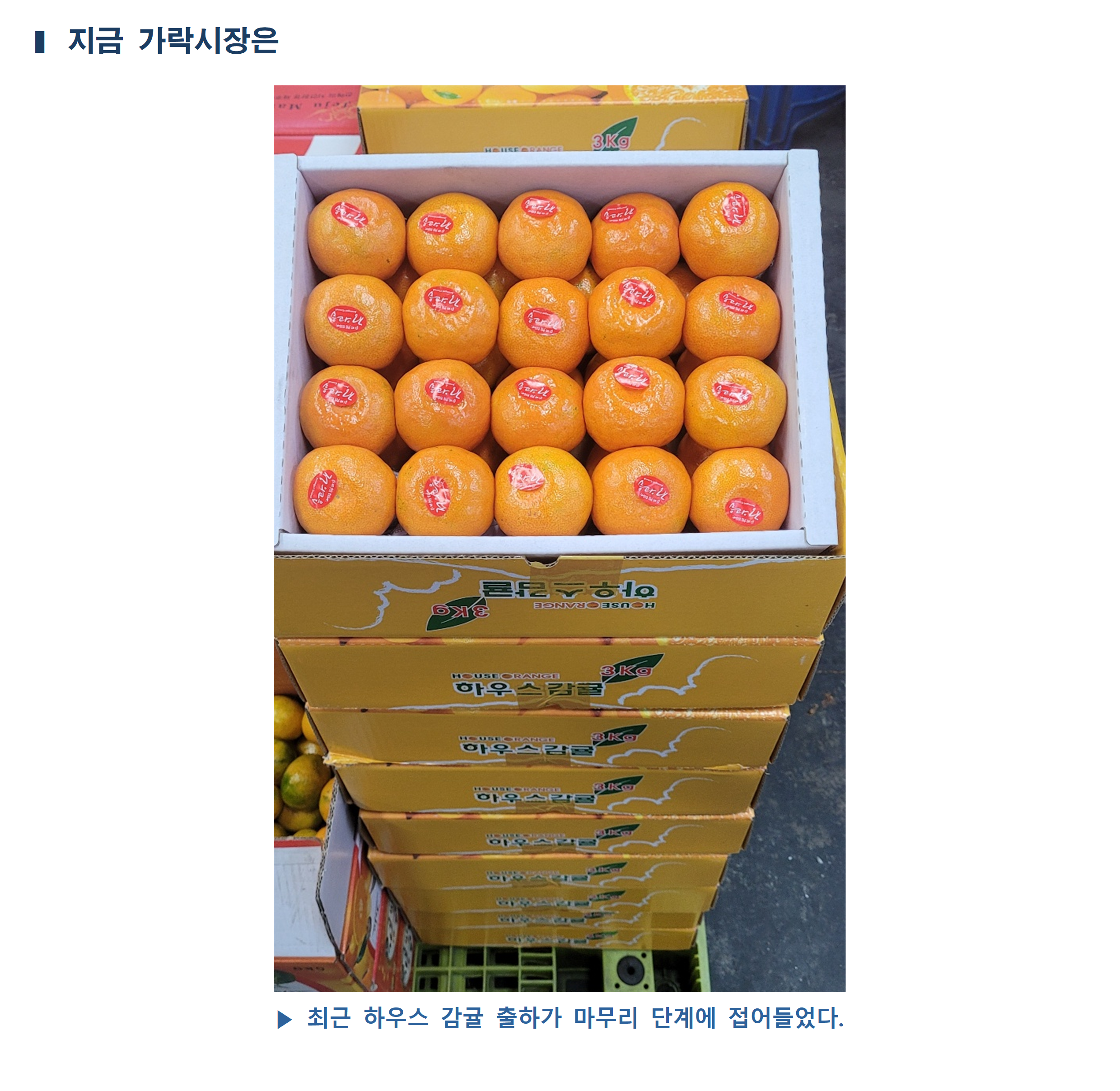 image005.png
