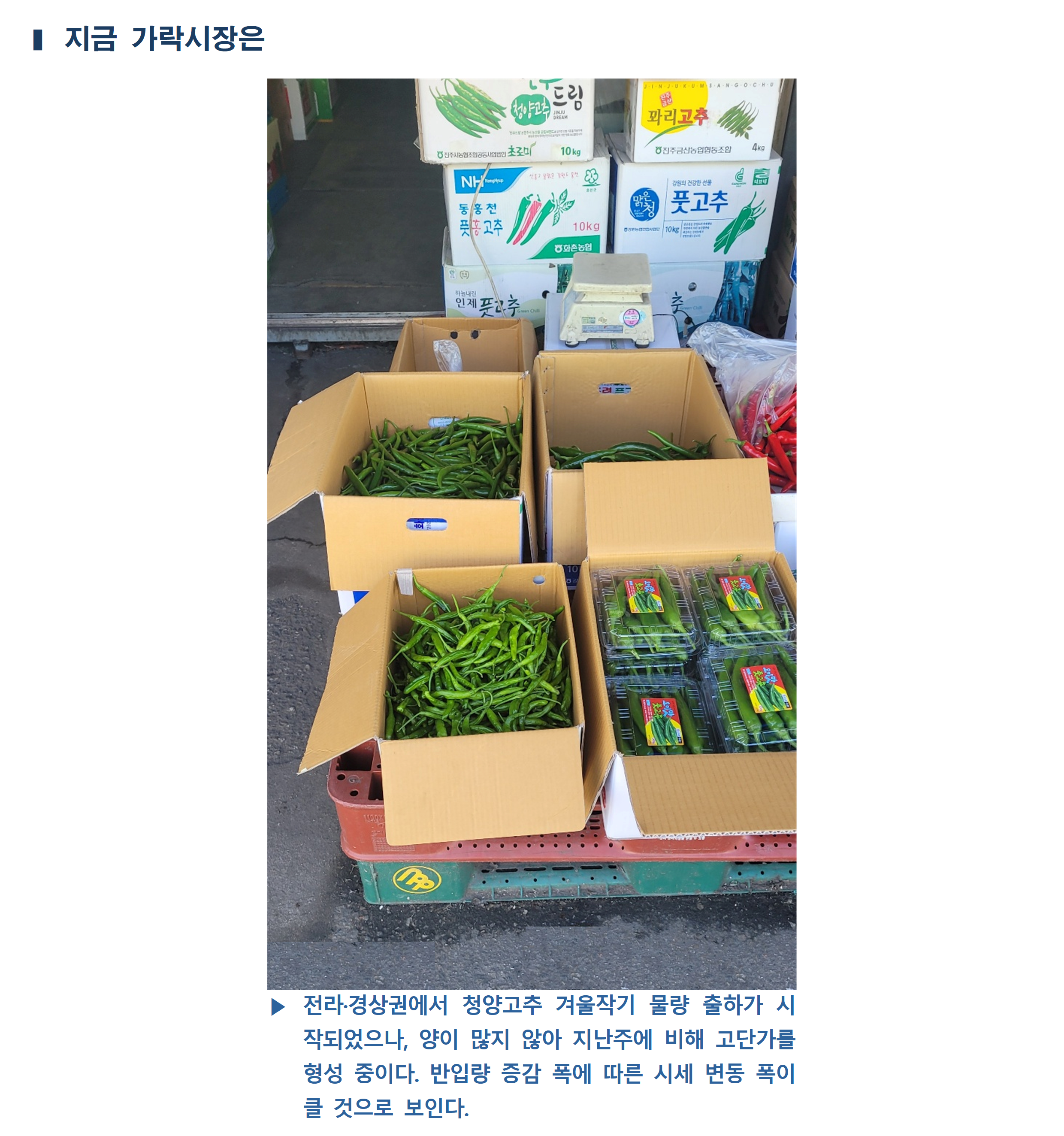 image005.png
