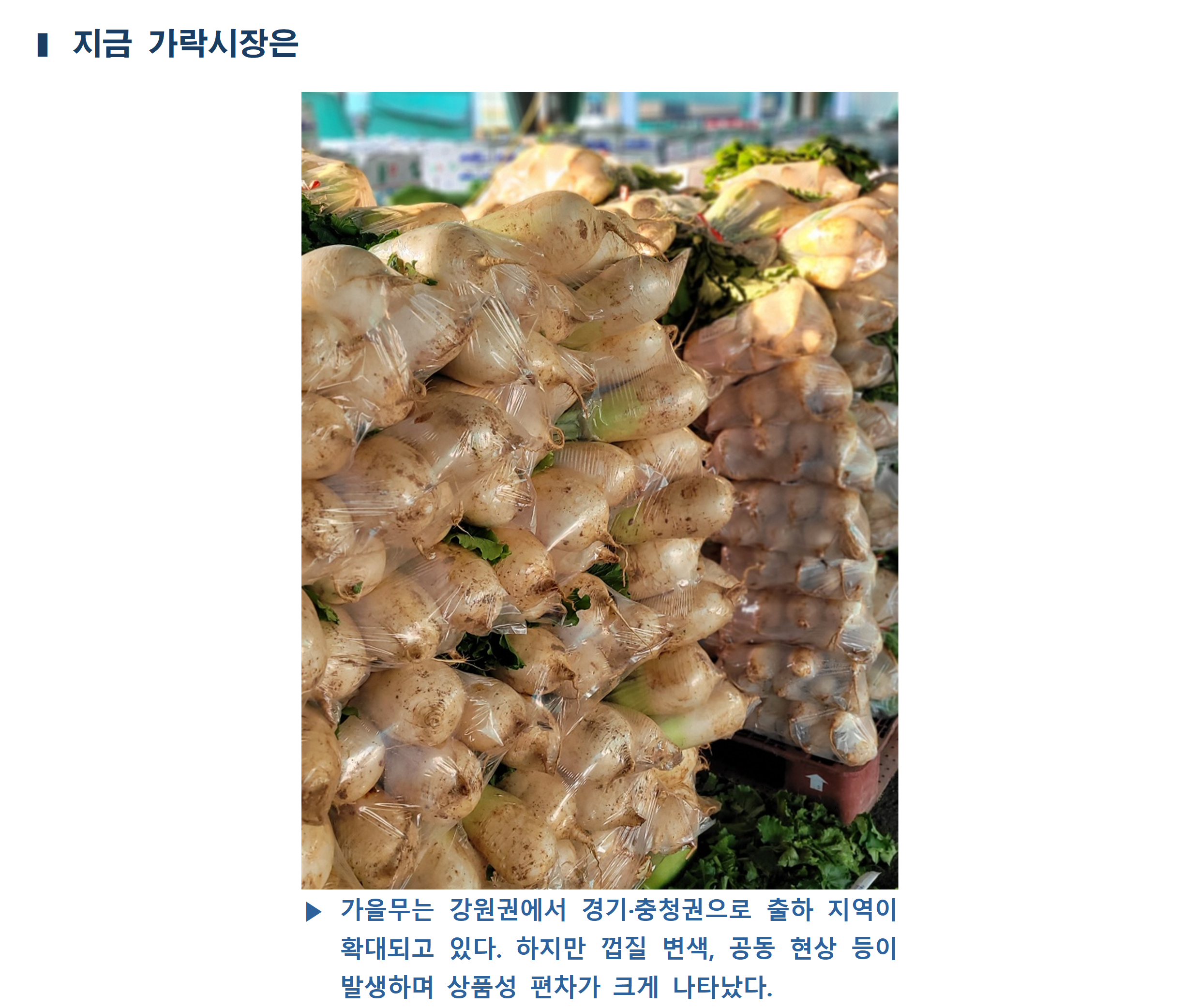 image005.png