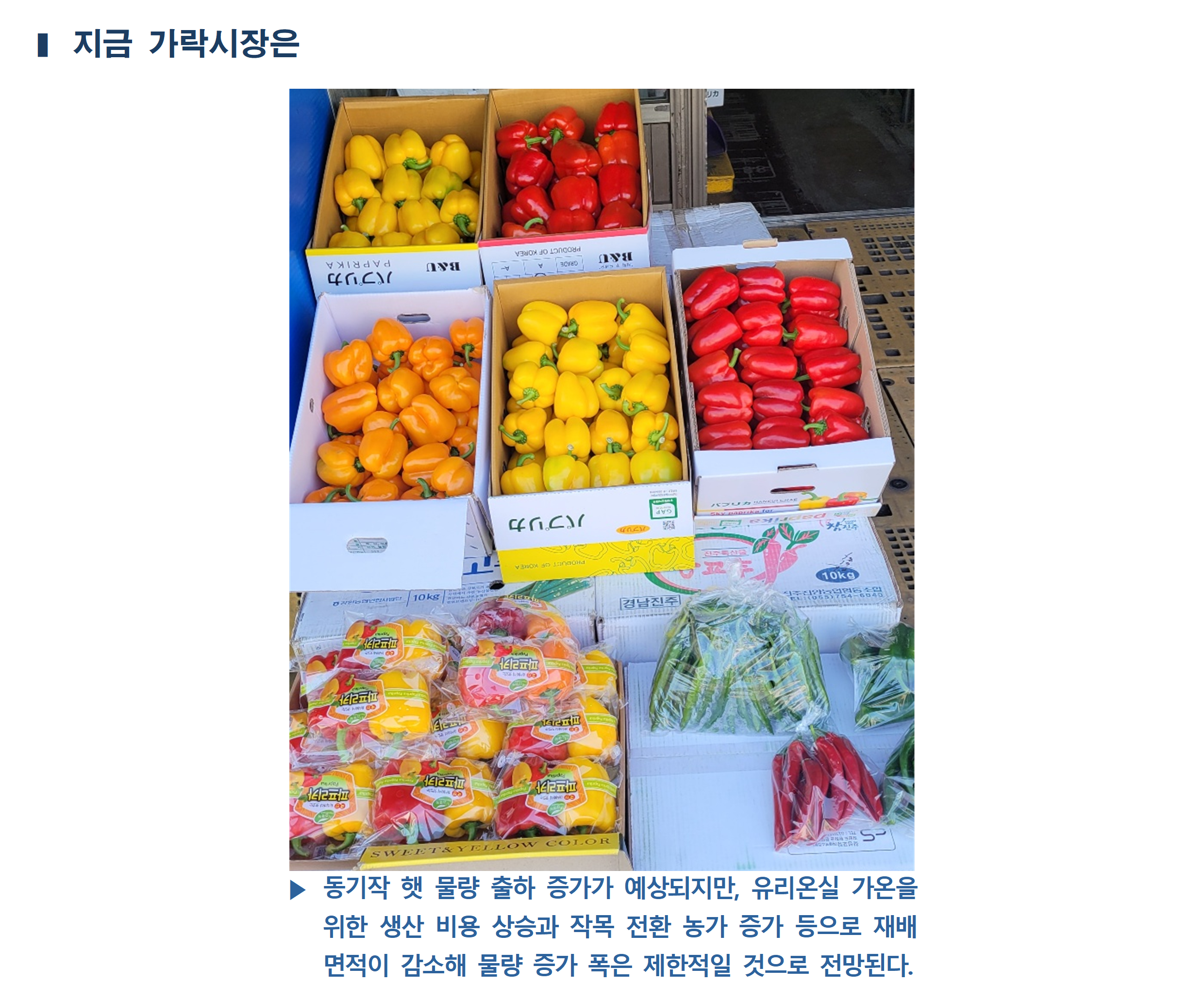 image005.png