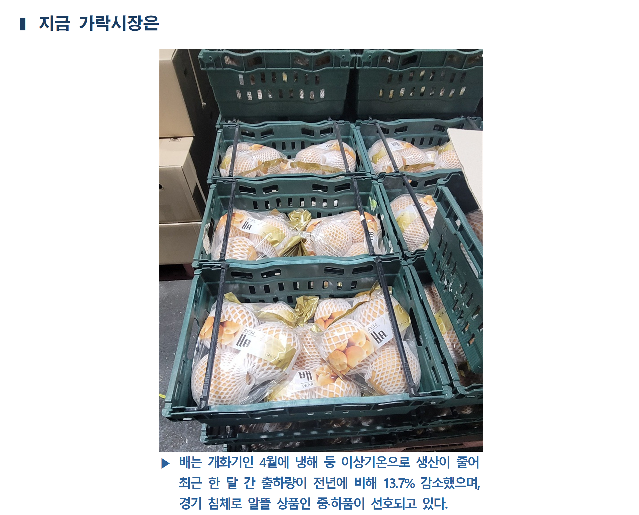 image005.png