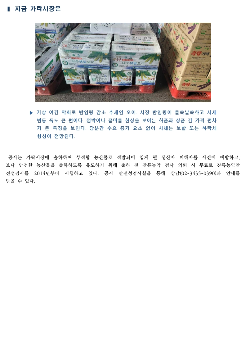 가락시장 싱싱정보(12.15. 오이, 호박, 양상추, 파프리카).pdf_page_5.png