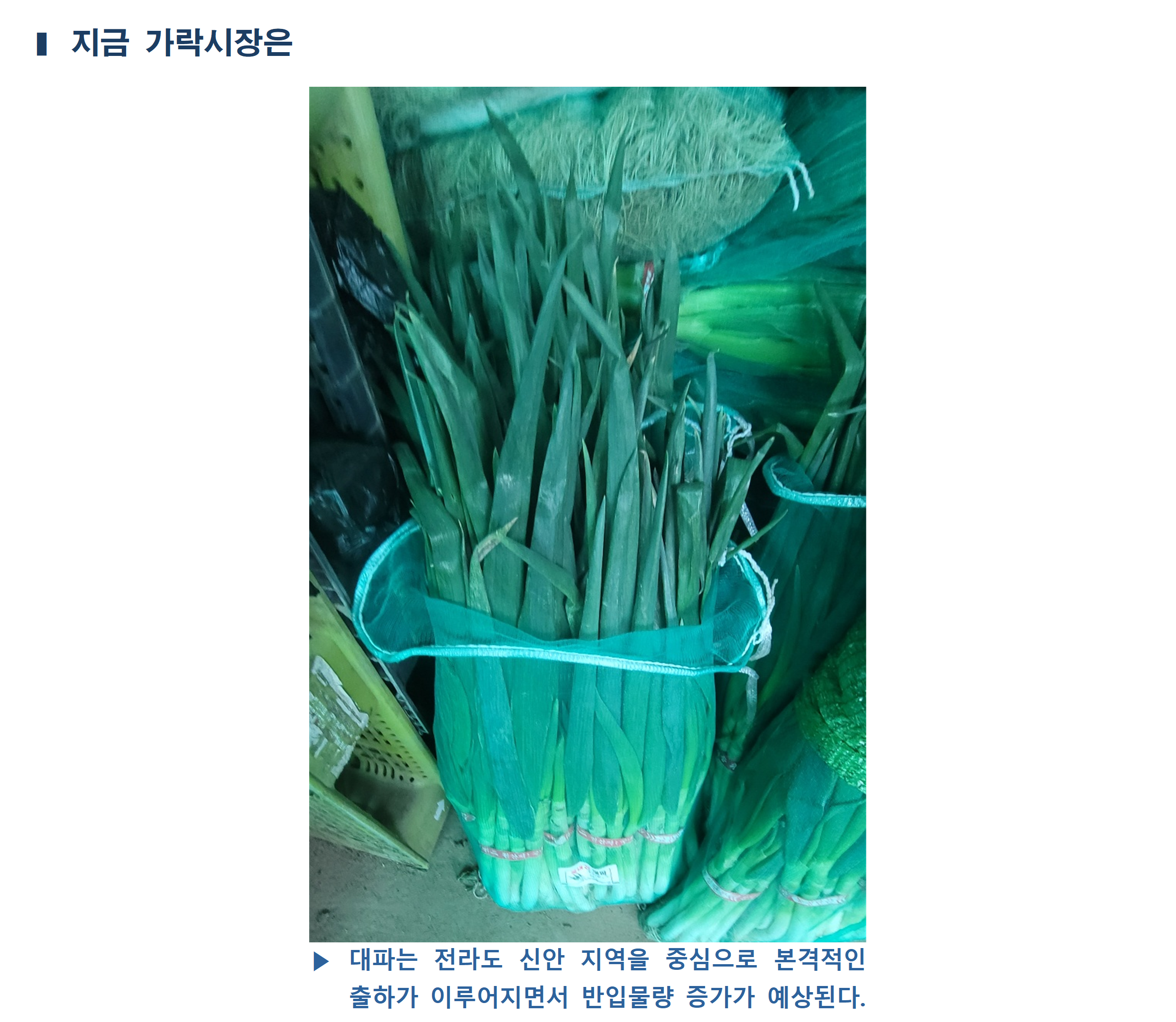 image005.png