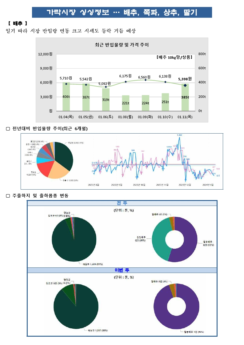 가락시장 싱싱정보(1.12. 배추, 쪽파, 상추, 딸기).pdf_page_1.png