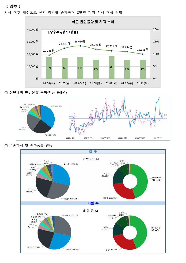 가락시장 싱싱정보(1.12. 배추, 쪽파, 상추, 딸기).pdf_page_3.png