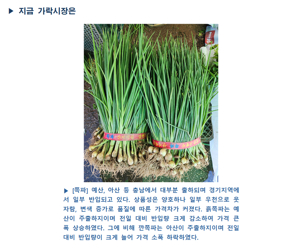 image005.png
