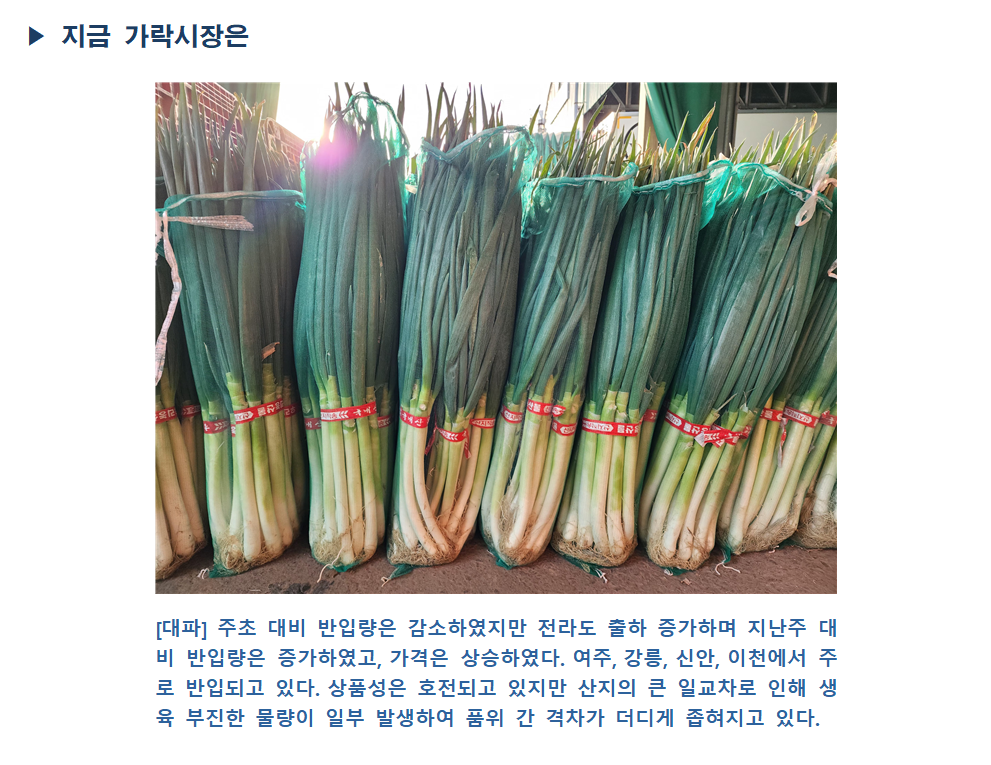 image005.png