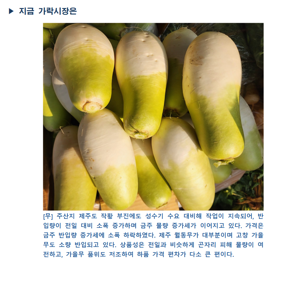 image005.png