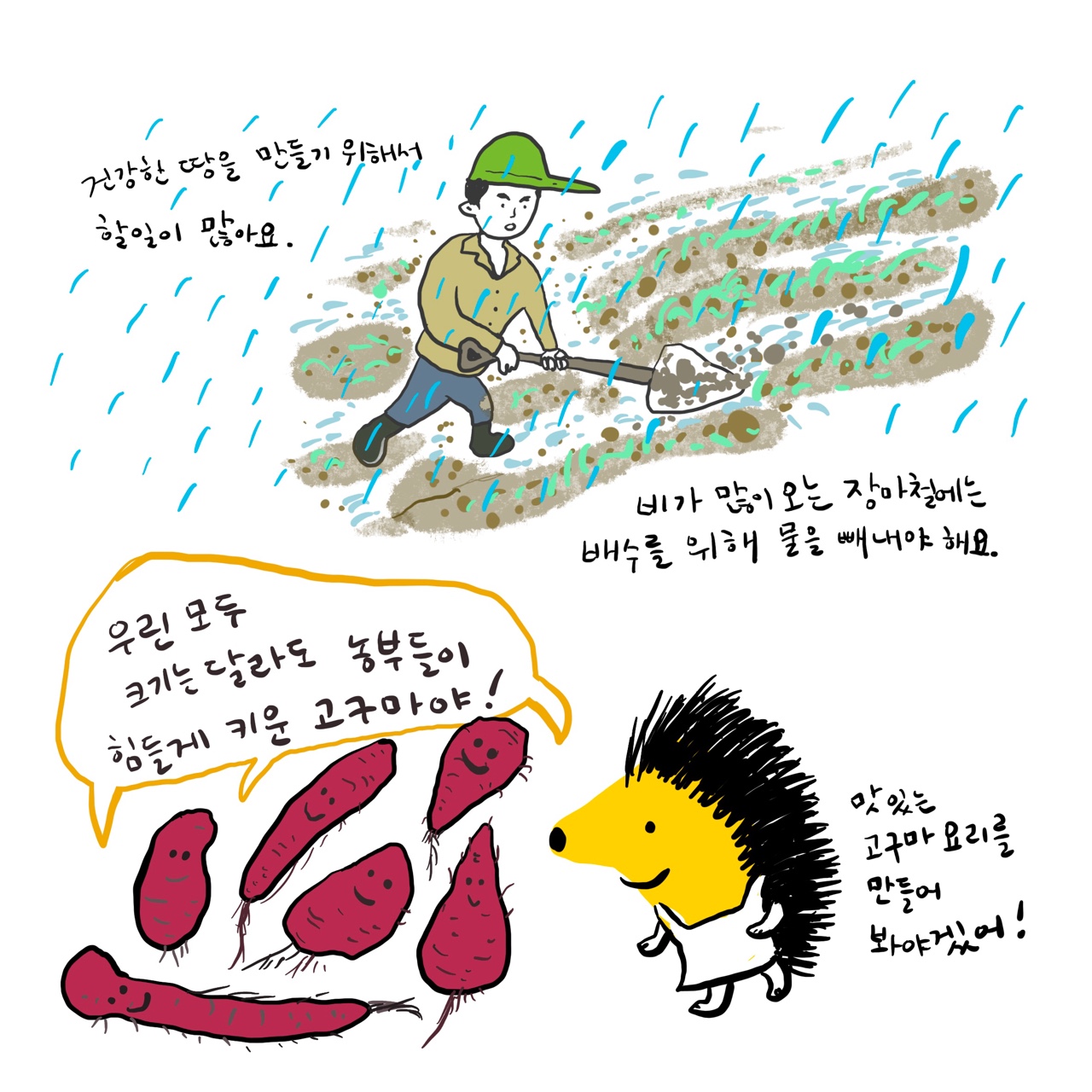 고구마3.jpg